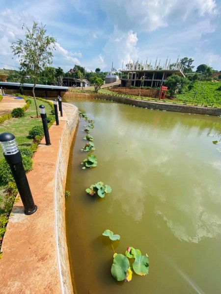 Đi đến slide 7