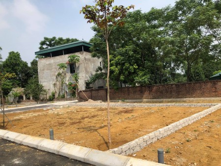Chính chủ cần bán Gấp khu đất nền Đồng Trúc, Thạch Thất, LH 0981901069