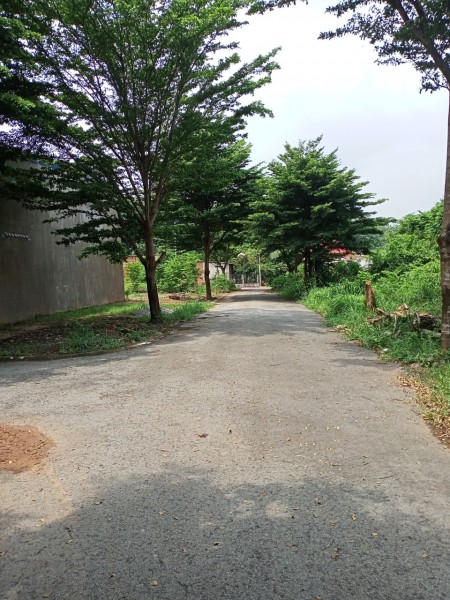 Sang gâp lô đất 110m2 gần kcn, gần chợ và trường học xây tự do sát quốc lộ 13, dân cư đông kín