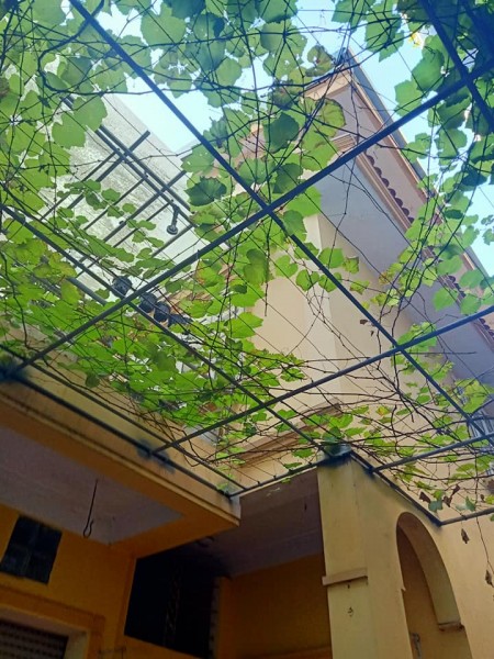 Đi đến slide 5