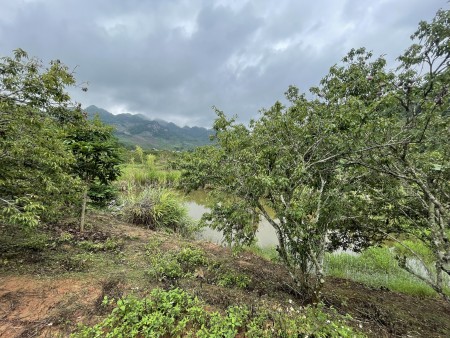 Đi đến slide 8