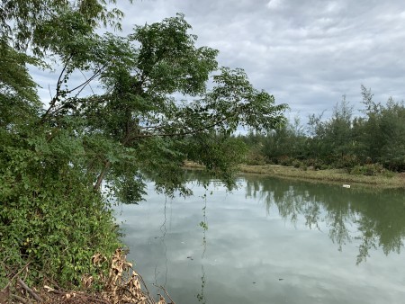 Bán 1004 m2 đất thổ cư, view sông, Cẩm Thanh, Hội An