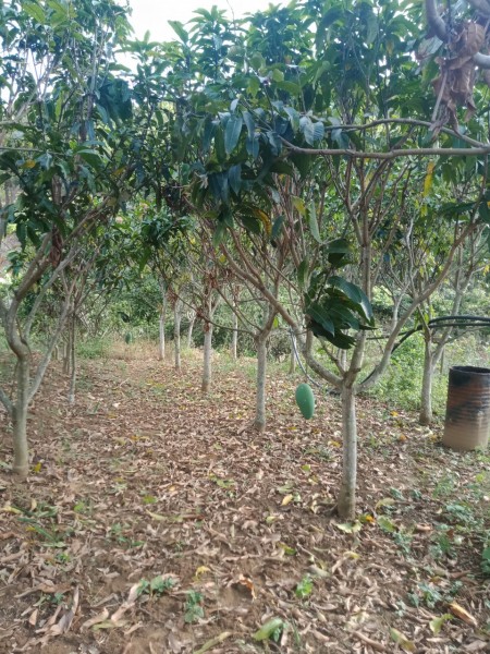 Đi đến slide 9