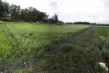 Bán Đất Khu Dân Cư Sinh Thái gần trung tâm thị Trấn, mặt tiền đường rộng 6m