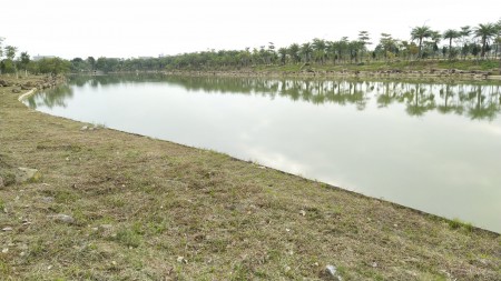 Đi đến slide 7