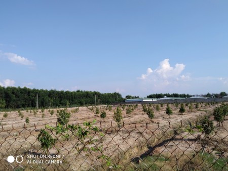 Cần bán 31 hecta đất đầu tư huyện Tân Phú Đồng nai, lh 0908113093