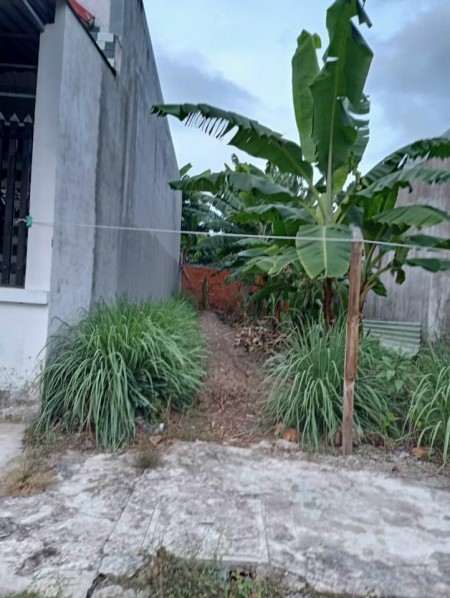 Bán đất nền thổ cư 99m2 kdc Nam Hải đường Nguyễn Chí Thanh giá 1.49 tỷ