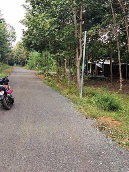 Bán đất giá rẻ, bán phá giá do Covid 19, đường nhựa, điện, dân tại Bình Phước