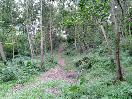 Đi đến slide 5