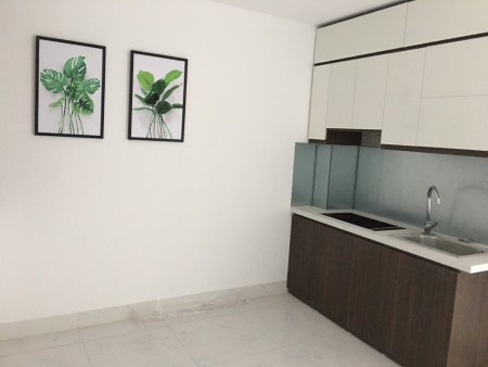 Nhà 1-2 phòng ngủ, Phạm Cự Lượng, Quận Sơn Trà, sổ chung chính chủ
