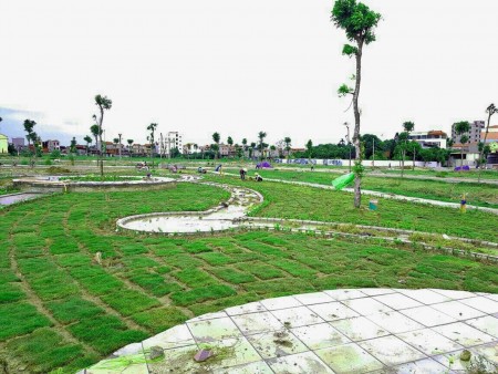 Bán đất nền tại QCL Ngô Xá, Long Châu, Yên Phong, Bắc Ninh 0977 432 923