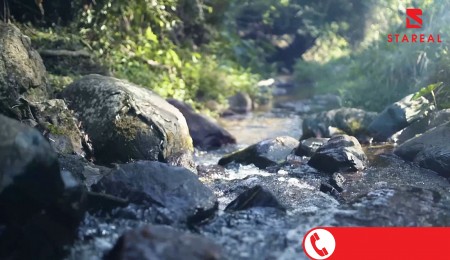 Đi đến slide 7
