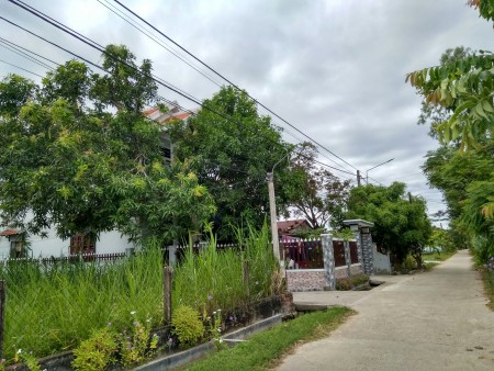Cần bán nhanh lô đất đẹp ngay thôn Quang Lăng 2, xã Điện Nam Trung, huyện Điện Bàn, tỉnh Quảng Nam