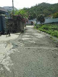 Bán gấp lô đất biệt thự diện tích rộng rãi khu Á Châu, phường 2
