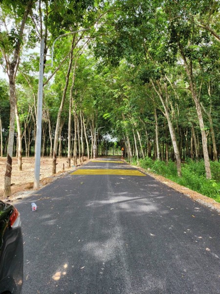 Mua bán đất mặt tiền đường nhựa gần khu công nghiệp Bình Phước