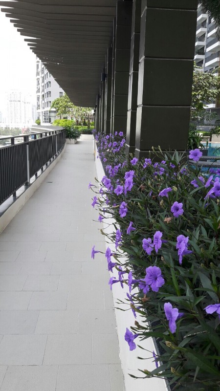 Đi đến slide 3