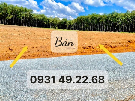 Chuyển về Hà Nội, gia đình bán lại miếng đất vườn dt 8000m2 cạnh kcn Việt-Hàn, giá 170 triệu