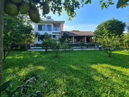 Bán nhà vườn Hà Nội biệt thự gần 10.000m2 chỉ hơn 10 ty 0969040000