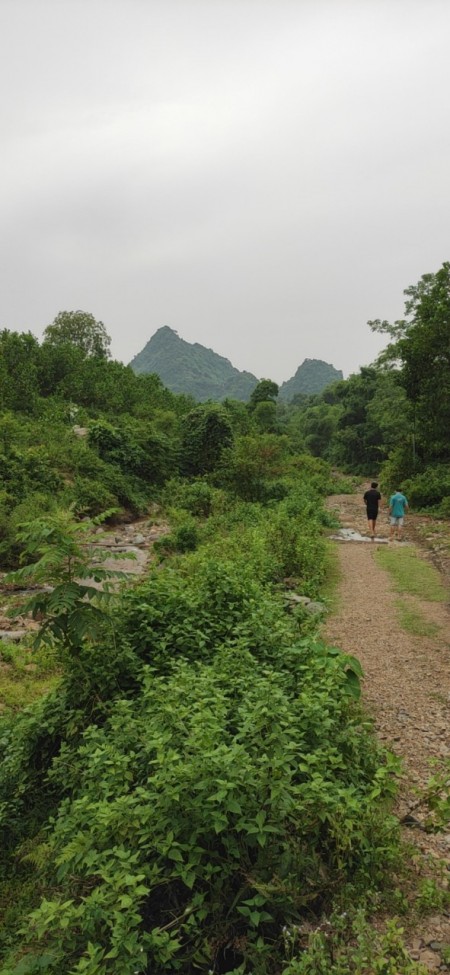 Đi đến slide 4
