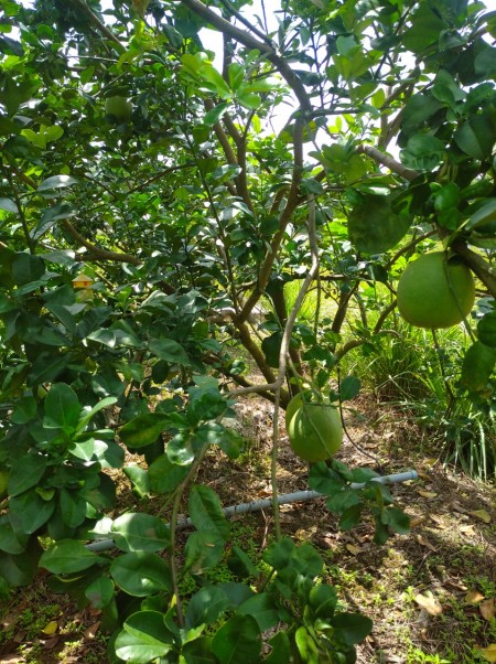 Đi đến slide 5