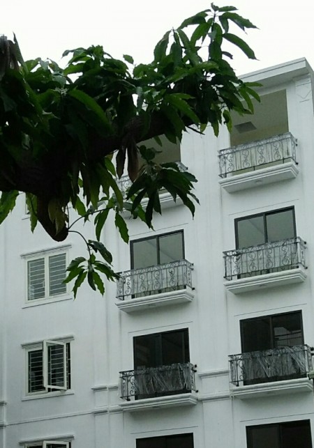 Bán nhà siêu phẩm trung tâm Hà Đông, hàng xóm Bà Triệu, 5 tầng mới xây
