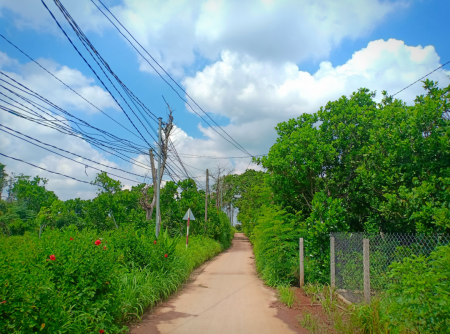 Đi đến slide 2