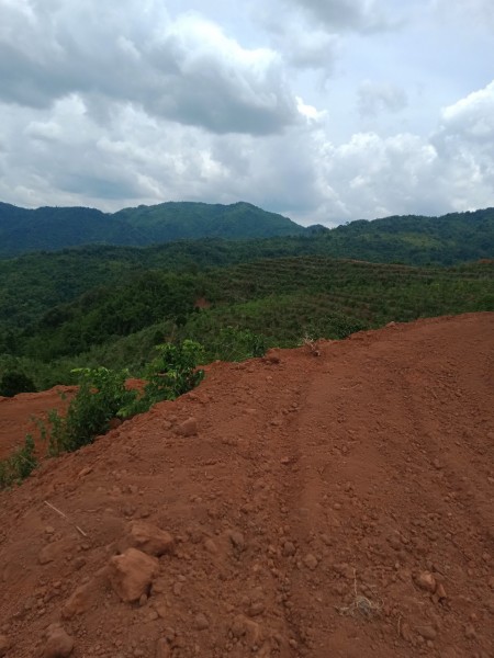 Đất Mộc Châu Vị trí siêu đẹp làm dự án nghỉ dưỡng, phân lô bán nền.