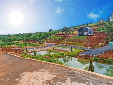 Ngợp thở mùa COVID cần gấp miếng đất Bảo Lộc Lâm Đồng, giá 650 triệu