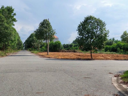 Chính chủ bán 3.500m2 sát KCN đang hoạt động gần chợ trường học giá 480 triệu