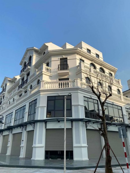 Cho thuê biệt thự nguyên căn mặt hồ vinhomes Ocean Park Gia Lâm