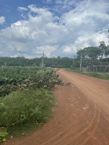 Bán lô đất tại Xã Tân Phước, huyện Đồng Phú, tỉnh Bình Phước Dân cư hiện hữu xung quanh, cách đường DT753 chỉ 300m, gần UBND, trường học, chợ