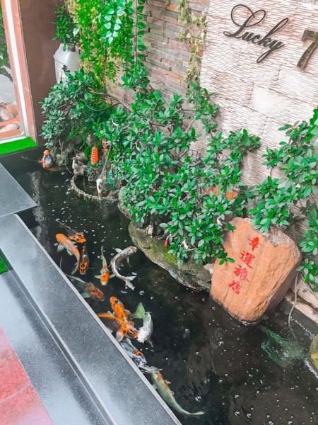 Đi đến slide 5