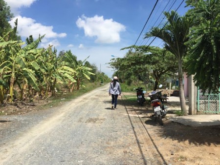 Đất nông nghiệp 5000m2 phù hợp đầu tư Lý Nhơn, huyện Cần Giờ