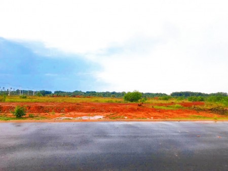 Cần tiền làm ăn nên cần bán gấp 1.6ha ở quê, giá 168 triệu, có sổ hồng, thổ cư đường 16m