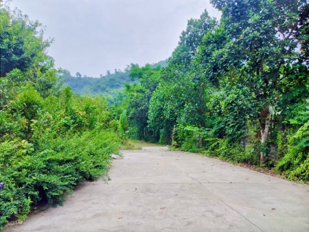Mở bán siêu phẩm Nghỉ dưỡng có sẵn nhà vườn view sông suối, ao hồ, đối nùi cảnh đồng ở Lương Sơn, Hoà Bình