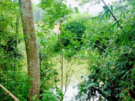 Đi đến slide 3