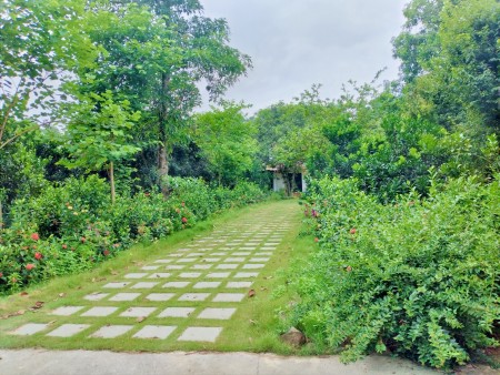 Đi đến slide 5