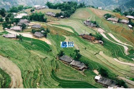 Đi đến slide 3