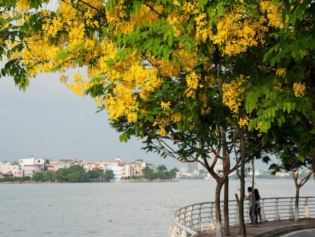 Hiếm, Bán Nhà Phố Lạc Long Quân, Kinh Doanh, Gara Oto, Gần Hồ Tây, 82m2, 13 tỷ