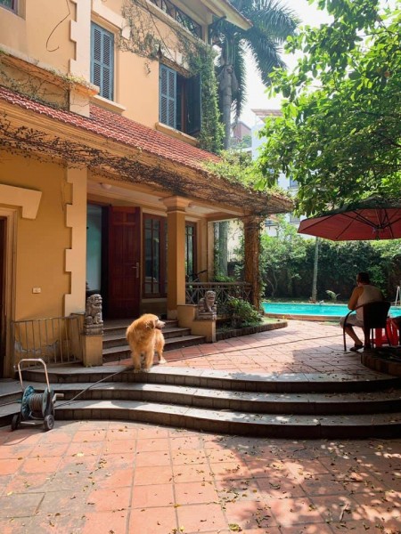 Đi đến slide 9