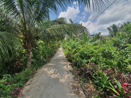 Bán nền 361m2 Nhơn Phú, Mang Thít, Vĩnh Long, xây dựng thoải mái, lhcc