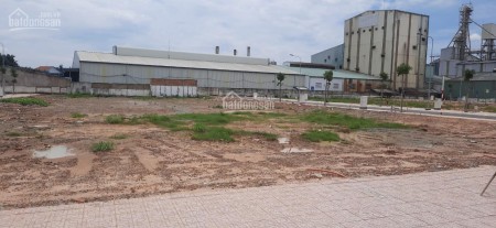 Bán gấp 10.000m2, shr ngay kcn đường 16m, dân đông, giá 168 triệu/sào