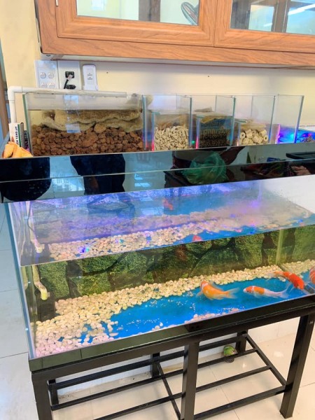 Đi đến slide 2