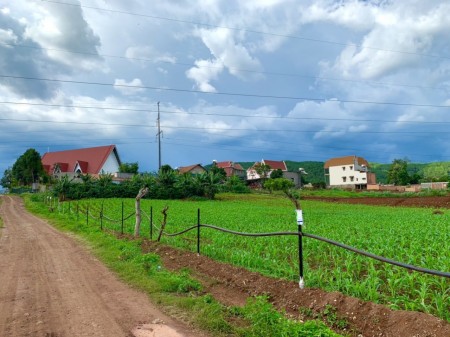 Đất đầu tư sinh lời giá yêu thương đường bê tông lớn 7m, sổ trao tay