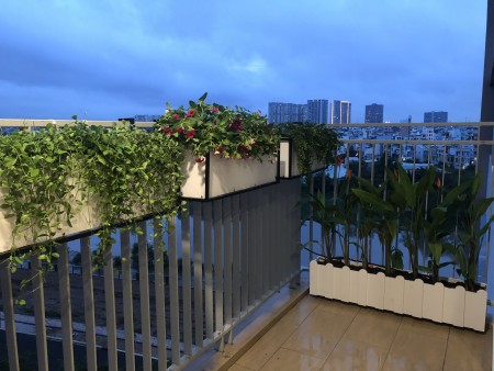 Palm Heights Q2 cho thuê Căn hộ 2PN: 12tr, 3PN: 15tr chính xác nhất.