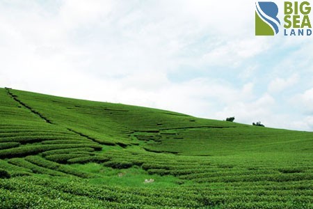 Đất nền mộc châu đón đầu quy hoach, du lịch 4 mùa cho lợi nhuận cao