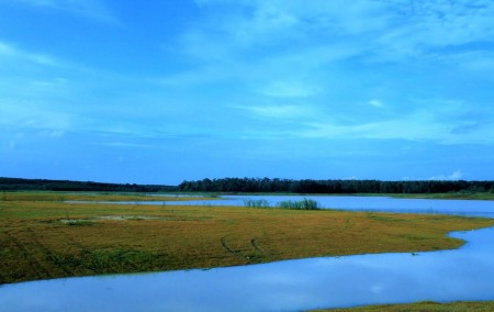 Bùi Hữu Nghĩa
