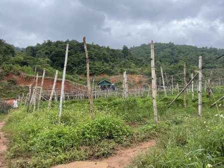 Đi đến slide 5