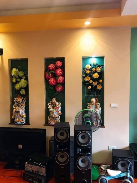 Nhà đẹp hồng tiến cần bán gấp, thông bồ đề, diện tích lớn 62m2 chỉ 4.9 tỷ