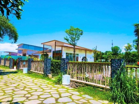 Đi đến slide 3